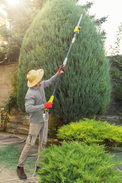 Best Commercial Tree Services  in East Berlin, PA